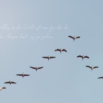 Der erste Ruf des Jahres – Wenn der Himmel sich erinnert